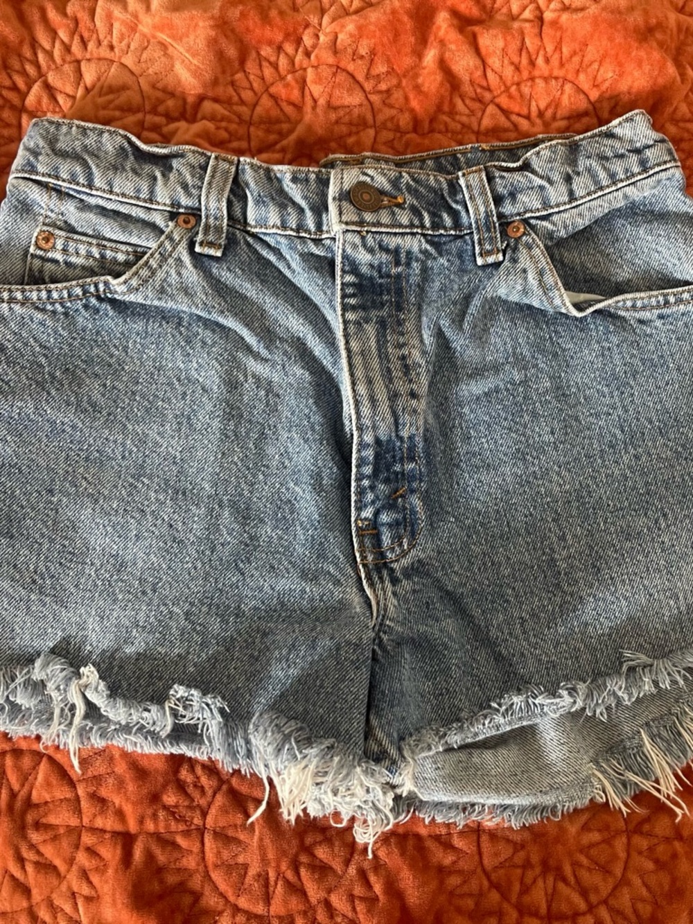 Levi's 550 Light Blue Frayed Hem Denim Cutoff Shorts